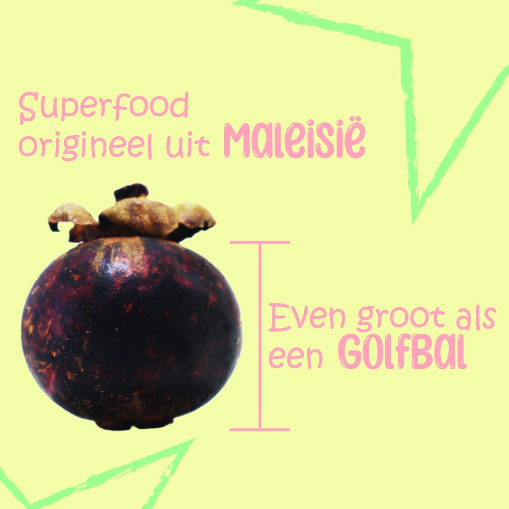 Mangosteen slide 2, informatie